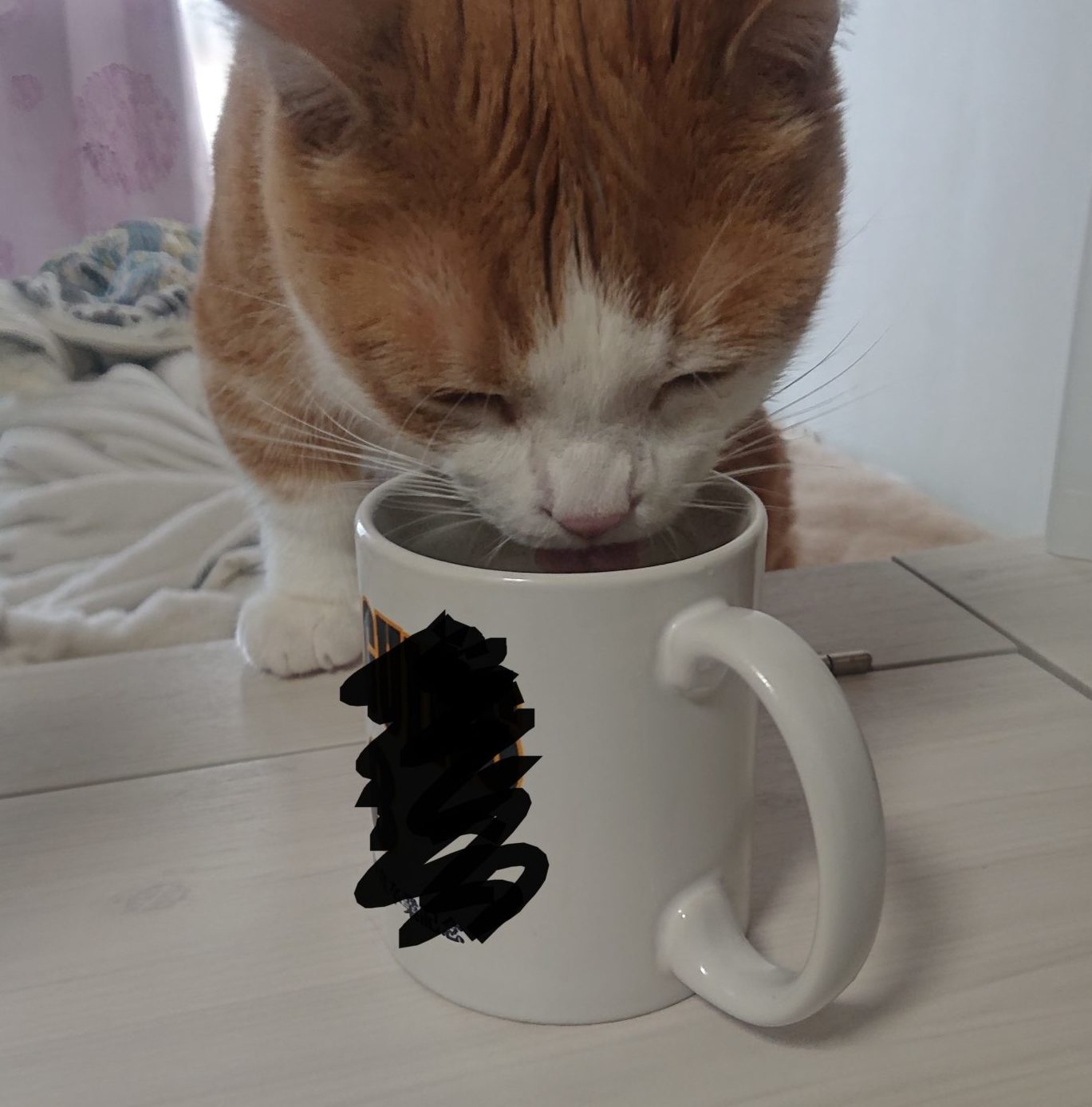 コップで水を飲む猫